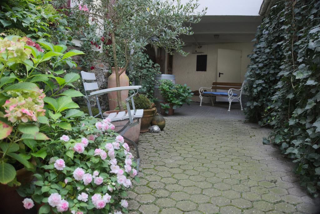 Hotel Garni Altes Winzerhaus Moselschaenke Kobern-Gondorf Exterior photo
